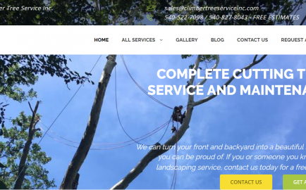 Web Design Software Development Technical Support